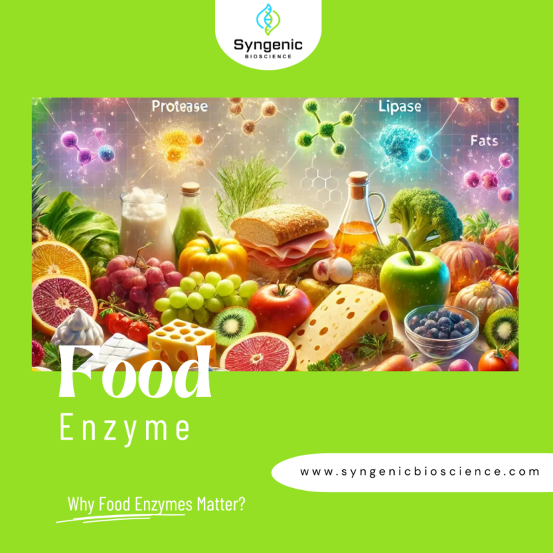 Why Food Enzymes Matter