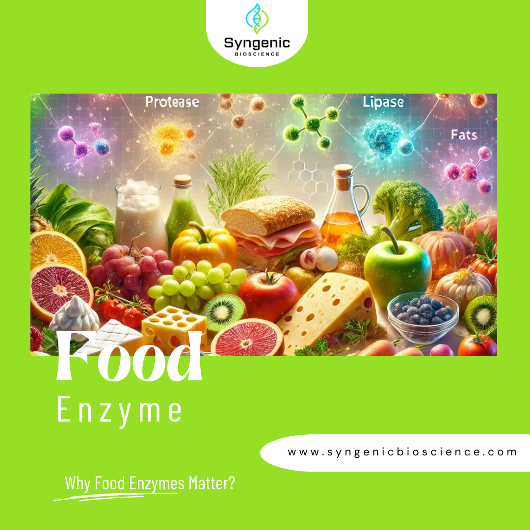 Why Food Enzymes Matter