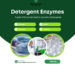 Detergent Enzyme