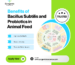 Benefits of Bacillus Subtilis