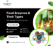 What Are Food Enzymes, and Their Types