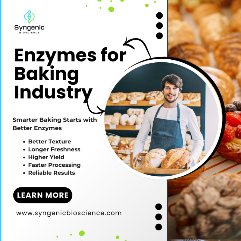 Enzymes for Baking Industry