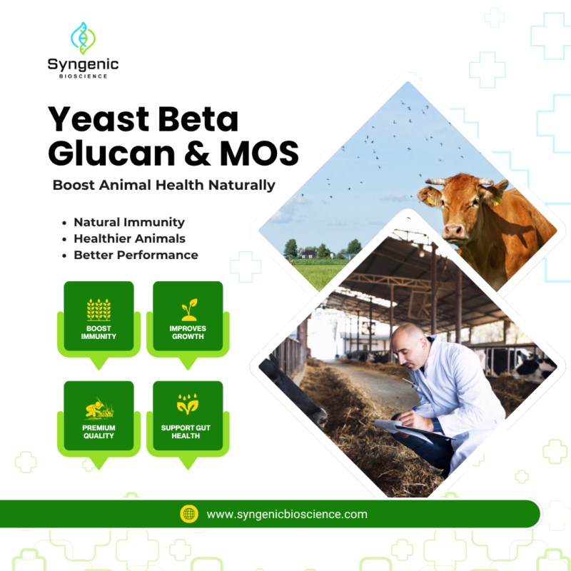 Yeast Beta Glucan and MOS