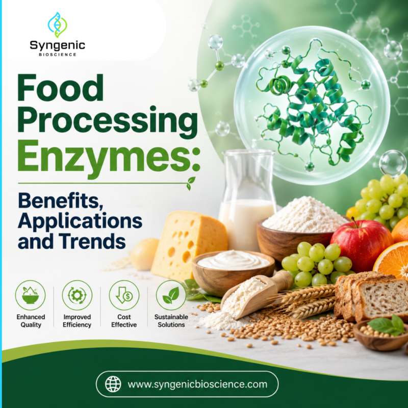 Food Processing Enzymes