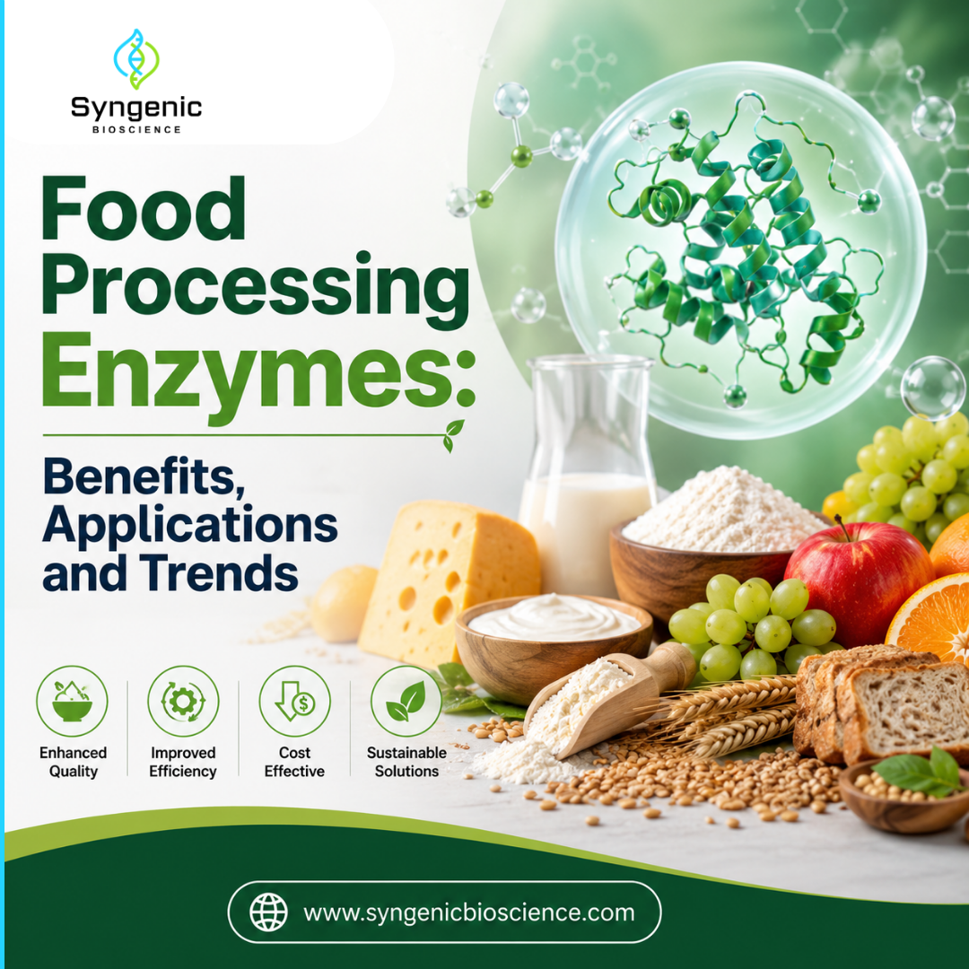 Food Processing Enzymes